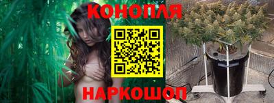 шишки Кунгур