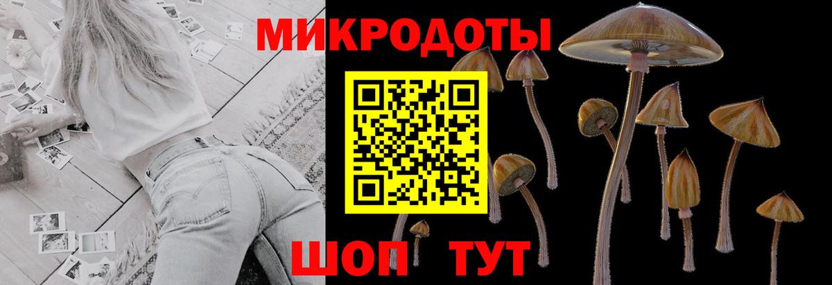 Егорьевск  Галлюциногенные грибы мухоморы  Вход с VPN 